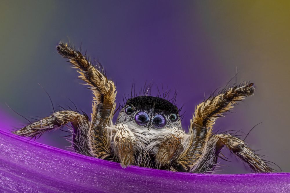 Photograph by Сергей Солобчук