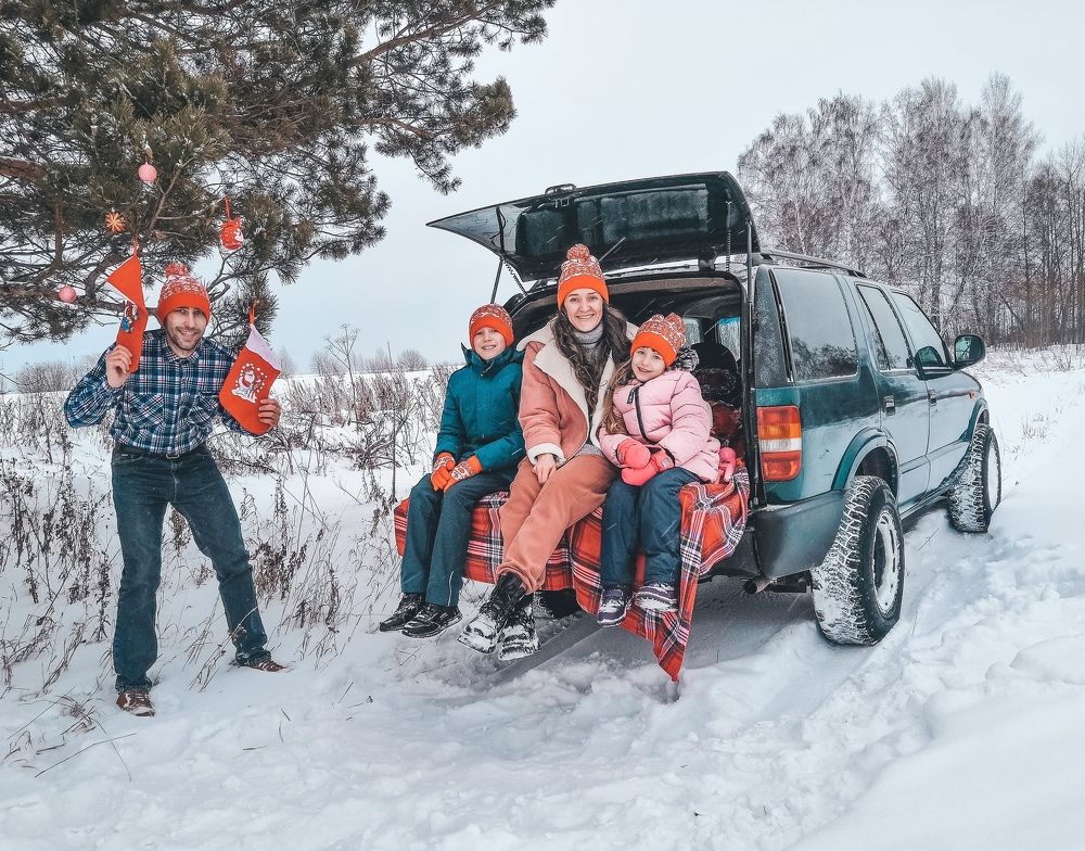 Однажды в сосновом лесу