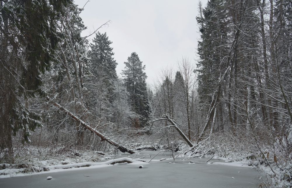 Photograph by Измаил Ефимов