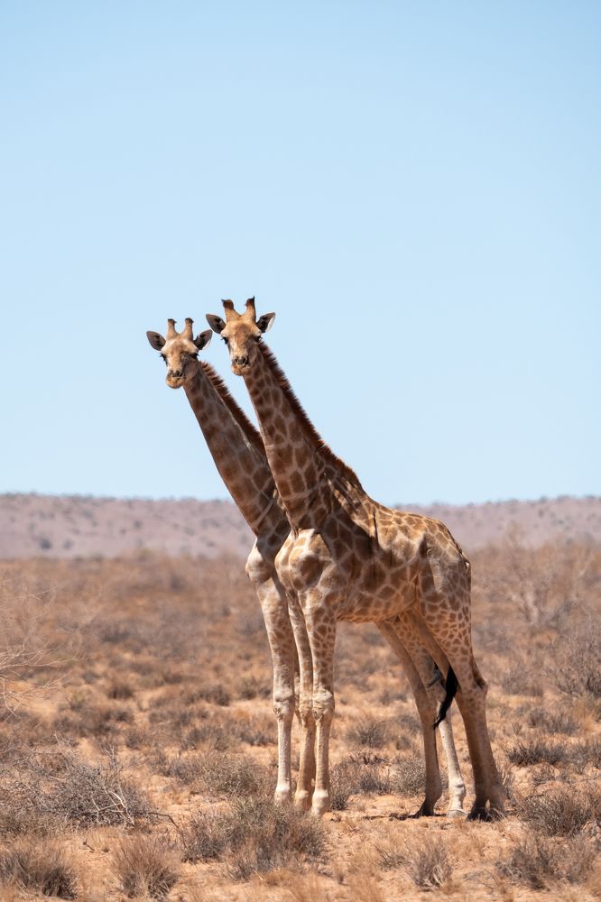 Photograph by Roman Halin