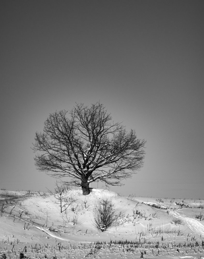 Photograph by Alexey Shameev