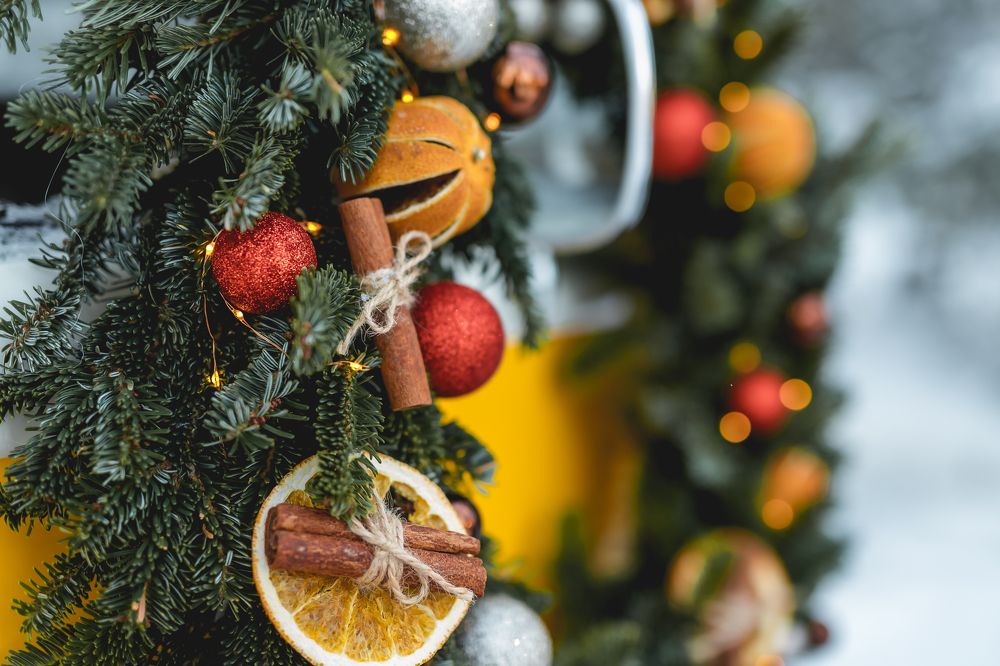 Фотография автора Екатерина Комиссарова