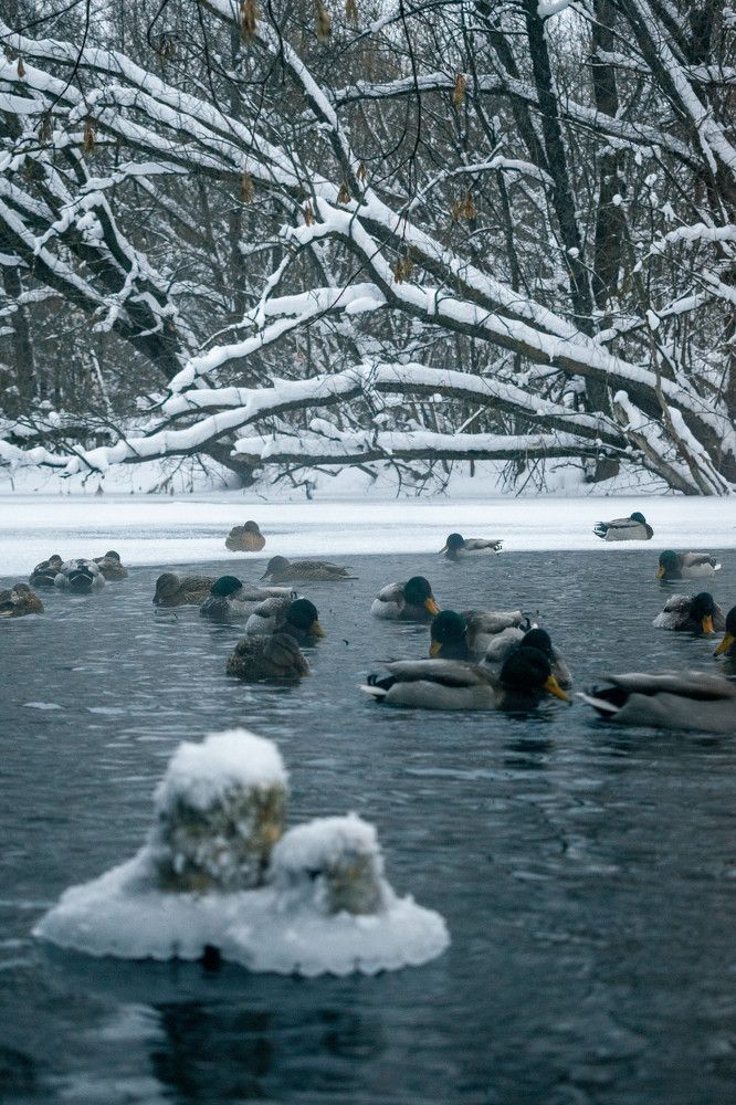 Photograph by Alexey Shameev