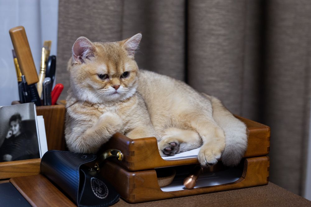 Photograph by Олег Дорошенко