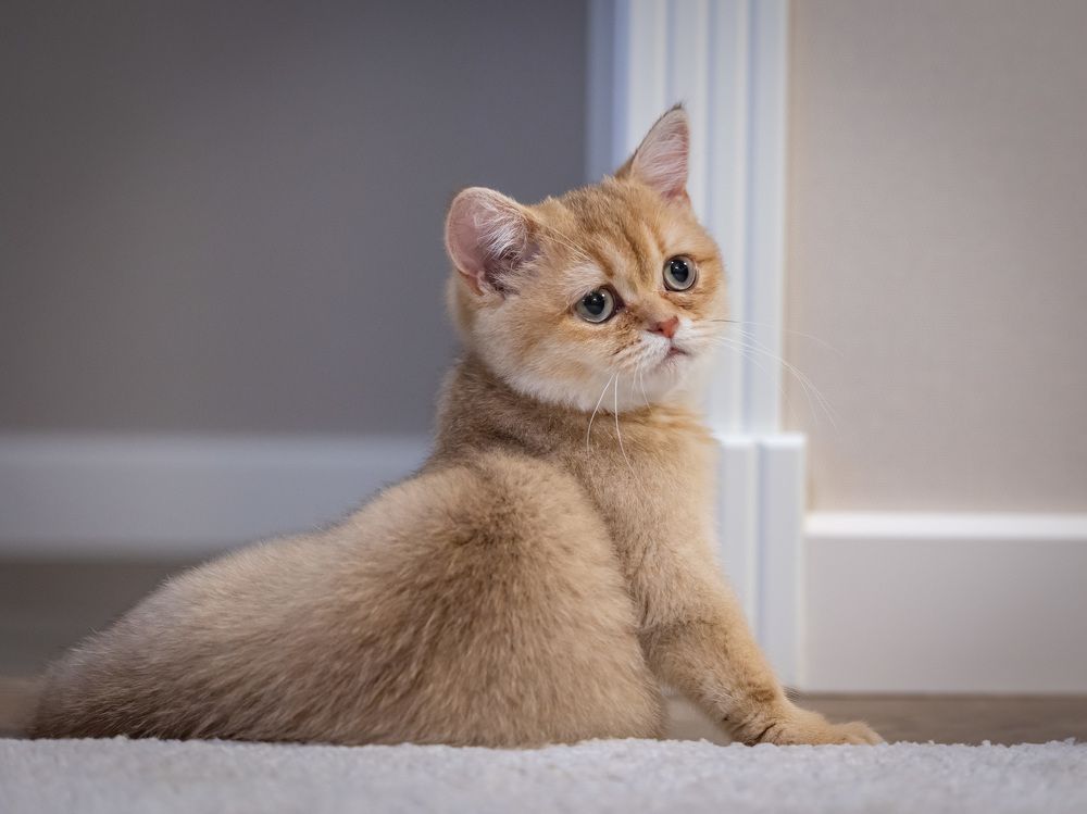 Photograph by Олег Дорошенко