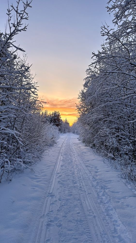 Photograph by Юлия Казимирова