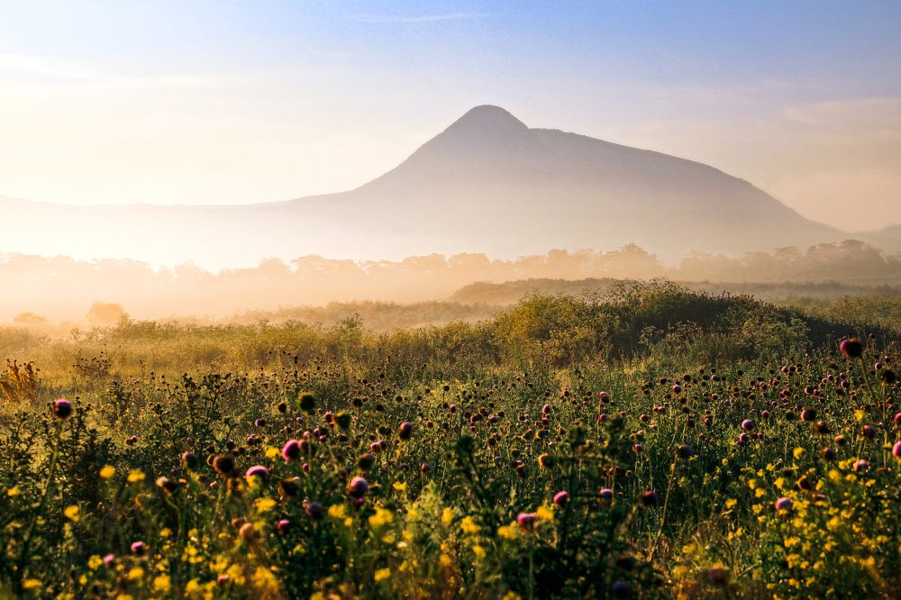 Самый ранний рассвет