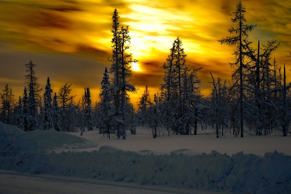 Photograph by Сергей Пузырев