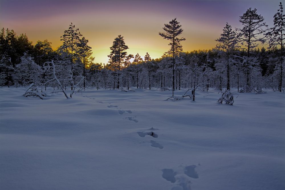 Январский закат