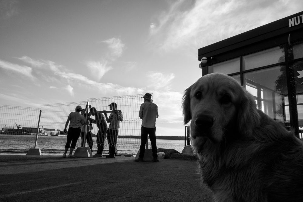 Фотография автора Николай Лазарев