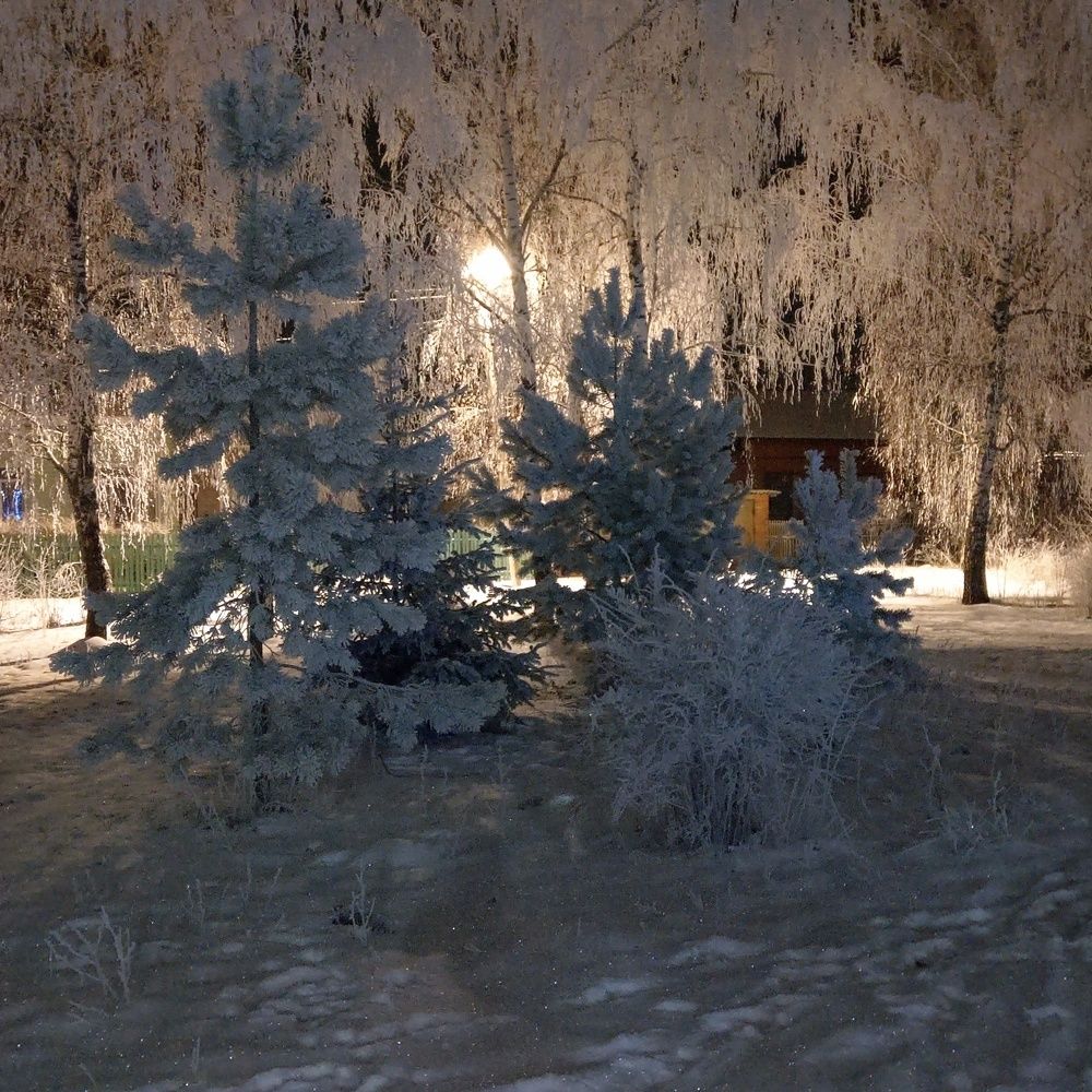 Photo #10089962