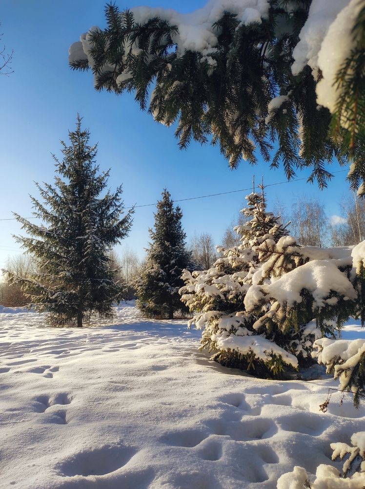 Photograph by Вячеслав Щёголев