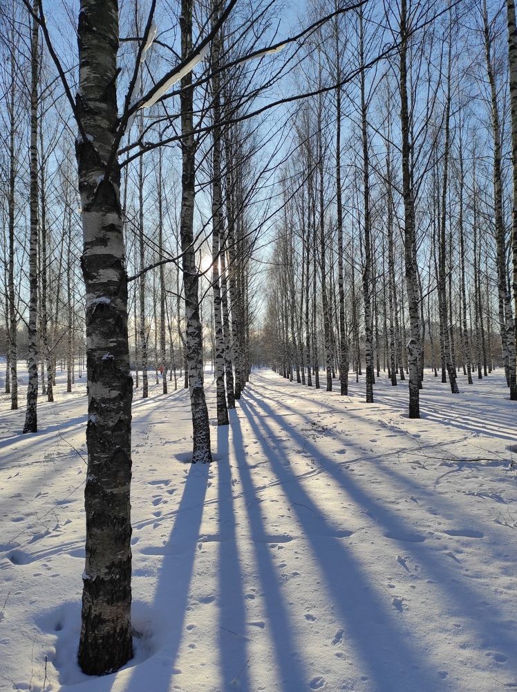 Photograph by Вячеслав Щёголев