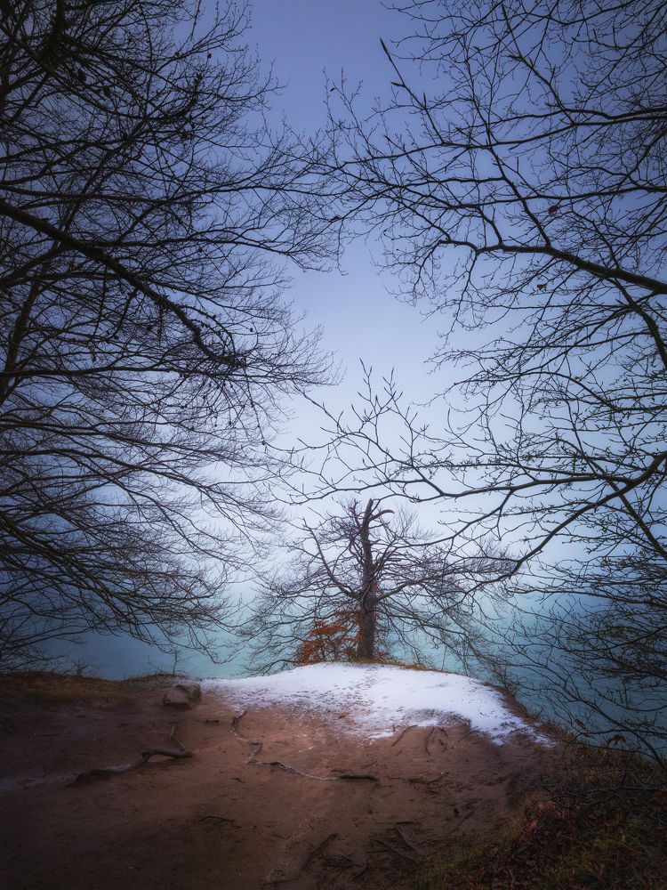 Photograph by Михаил Козлов