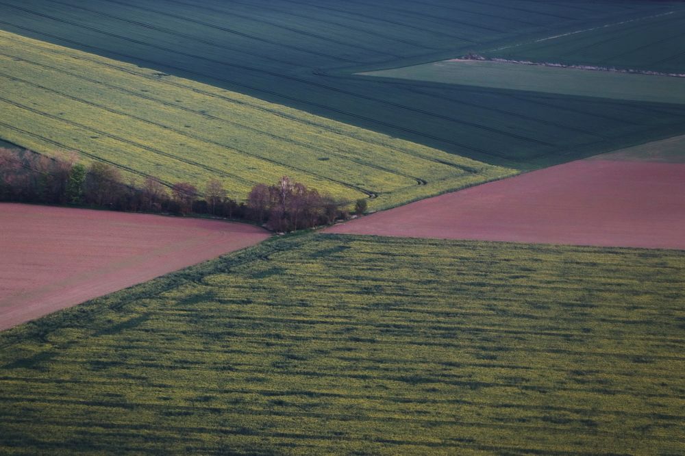 Photograph by Dagmar Vopolková