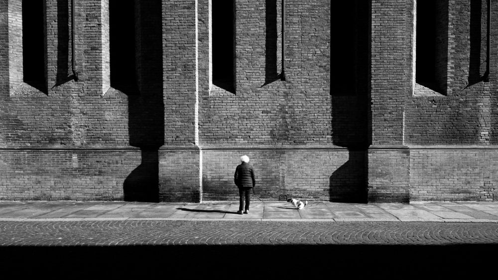 With Her Dog.. And He Poops