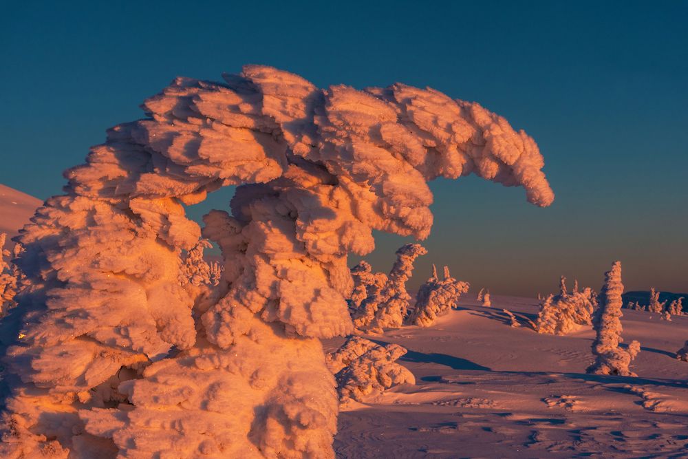 Photograph by Пешков Валерий