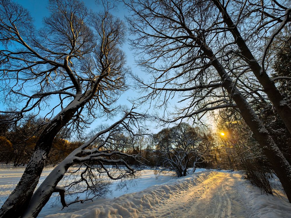 Photograph by Роман Алябьев