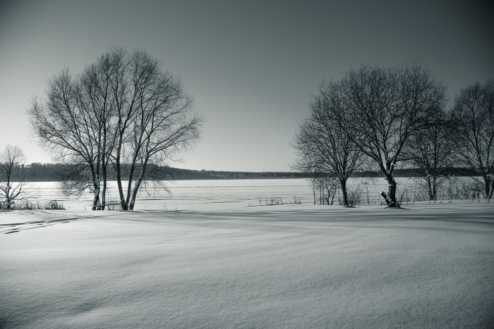 Фотография автора Войнов Дмитрий
