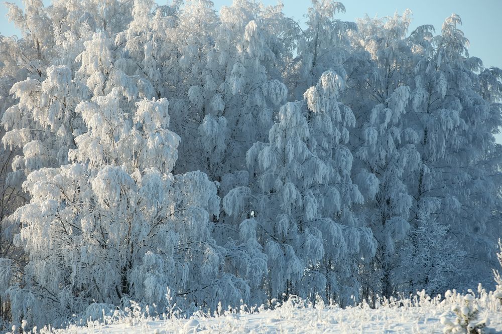Photograph by Наталья Суслова