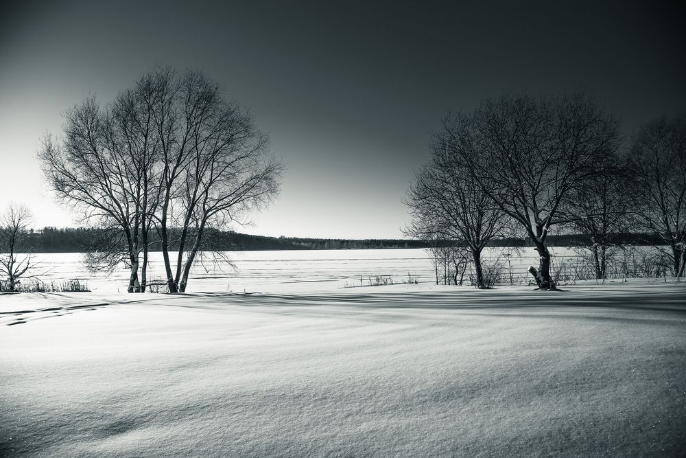 Фотография автора Войнов Дмитрий
