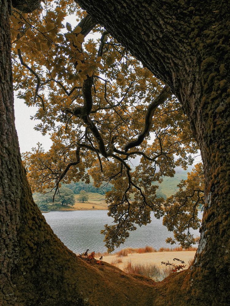 Photograph by Ингрида Кузнецова