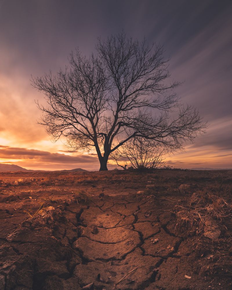 Photograph by Lluís Esteve Reverte Rosello