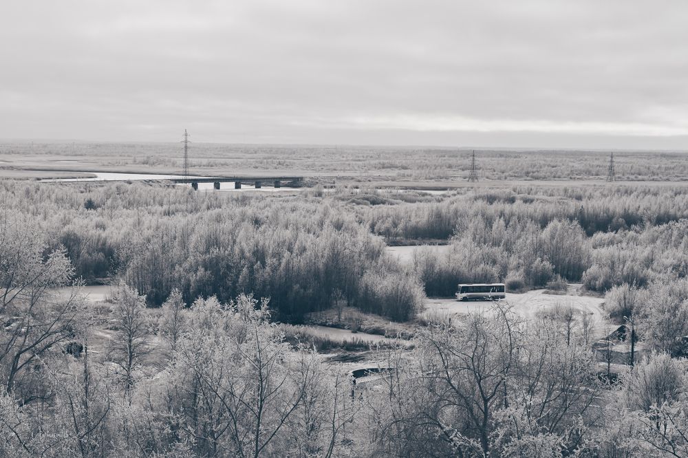 Photograph by Alina Shorina