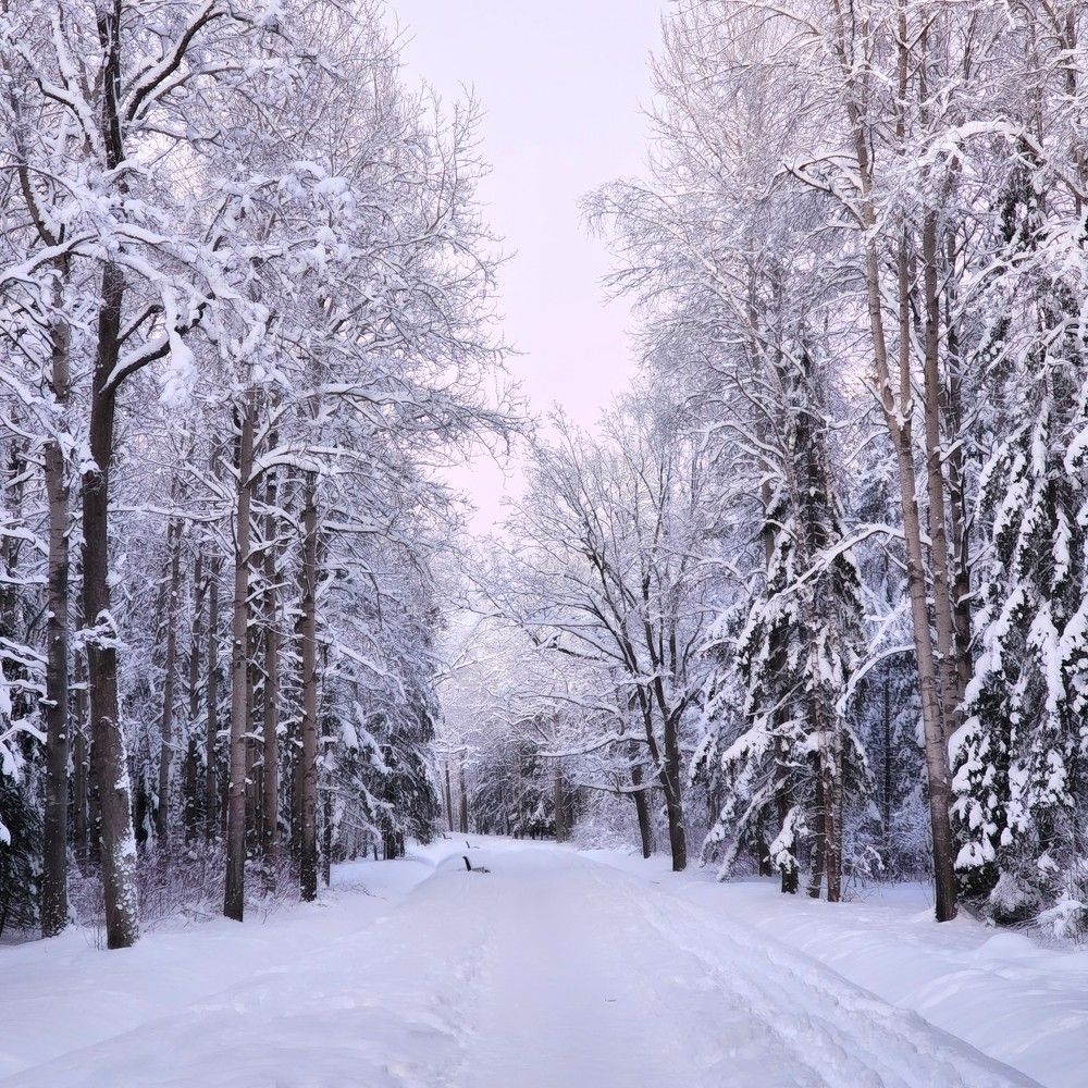 Photograph by Надежда Кудрявцева