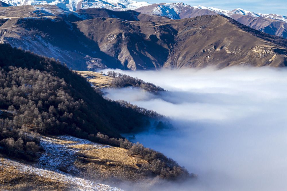 Photograph by Ольга Глухарёва