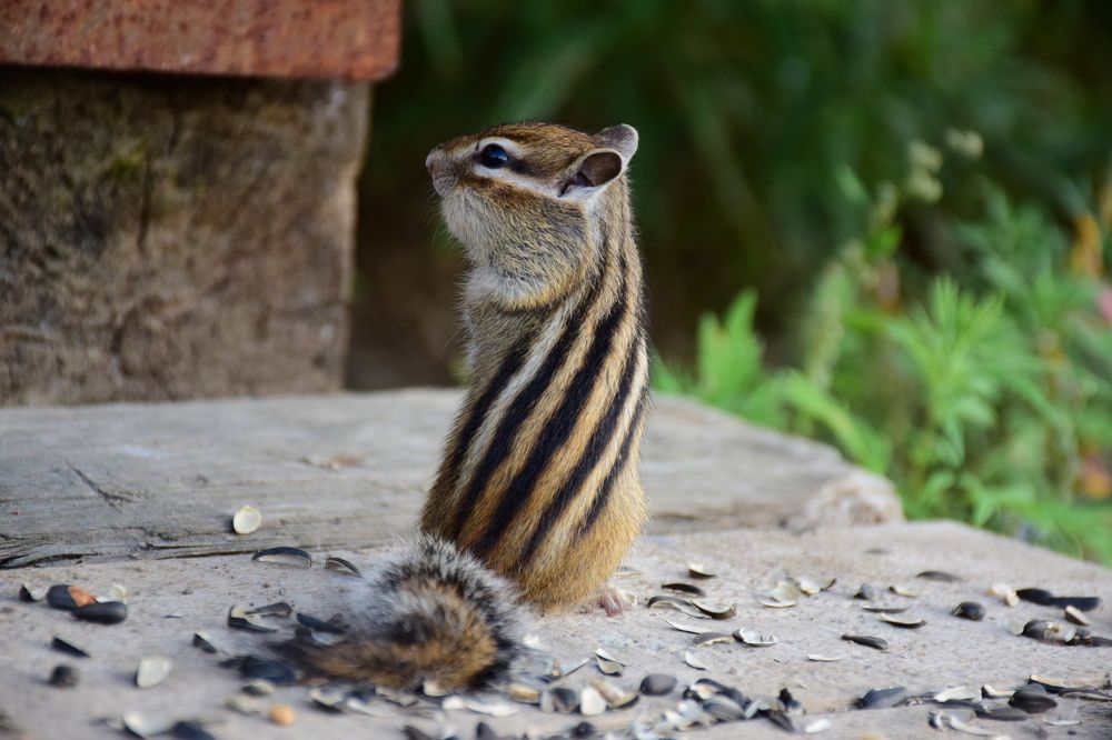 Photograph by Рамиль