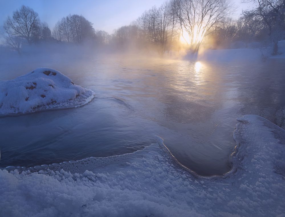 Дельфин в снегу