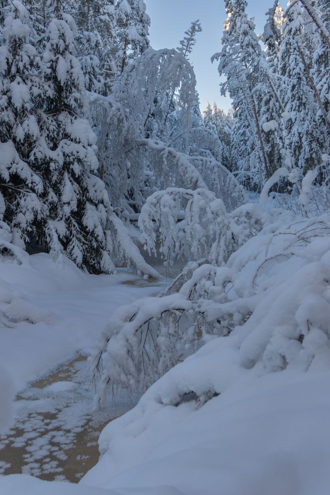 Photograph by Светлана Холодняк