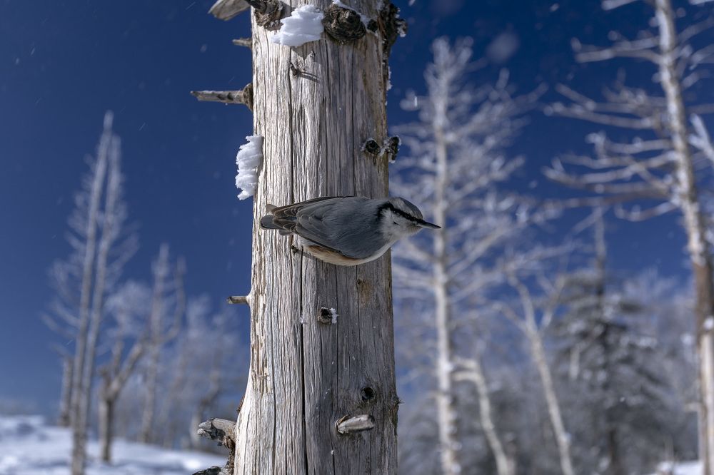 Photograph by ALEKSANDR KUZNETSOV