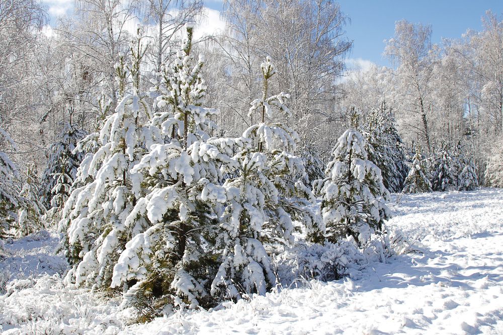 Photograph by Валерий Шорохов