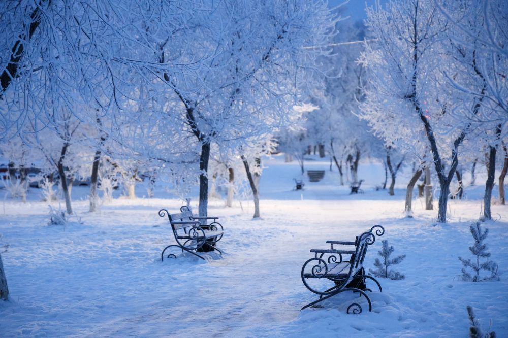 Photograph by Дарья