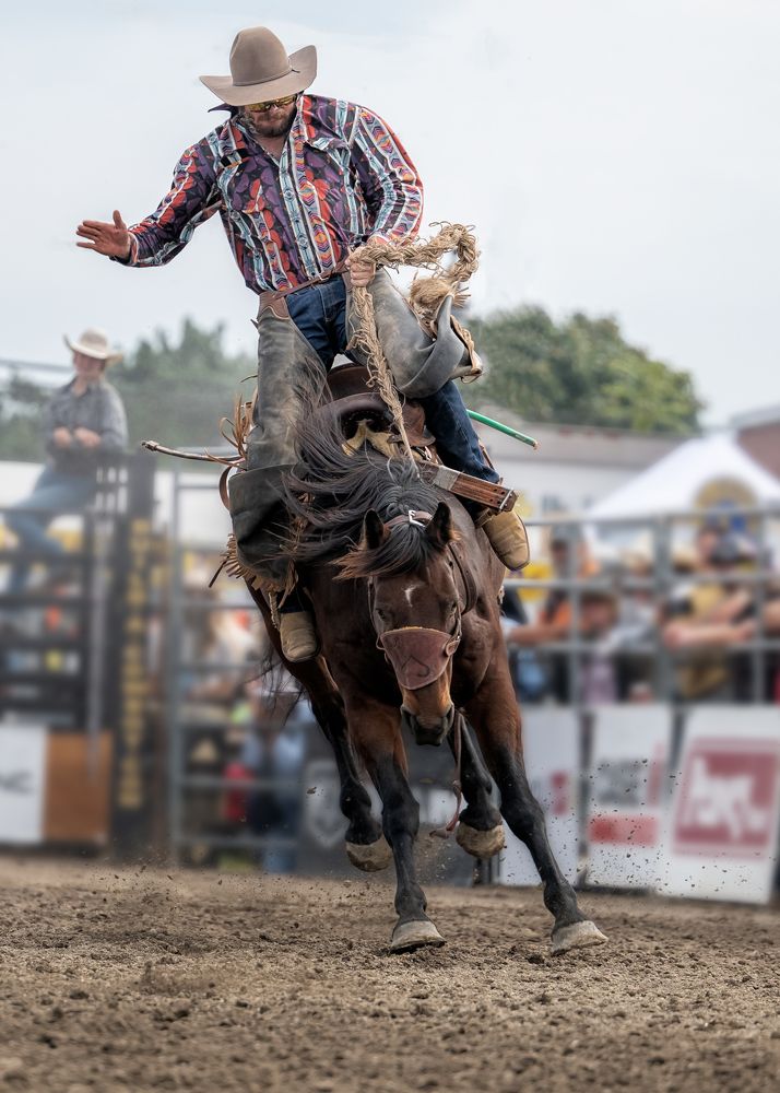 Фотография автора Liyan Dai