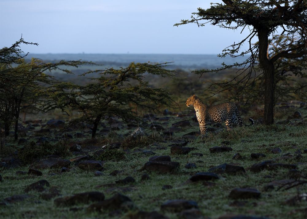 Photograph by Rajeeb Bharali