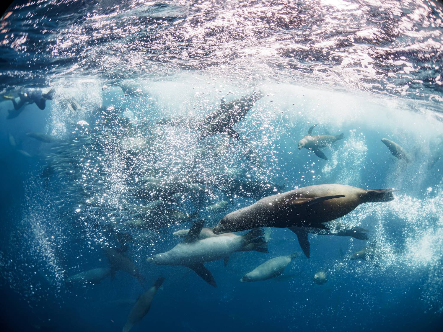 Фотография #10090806