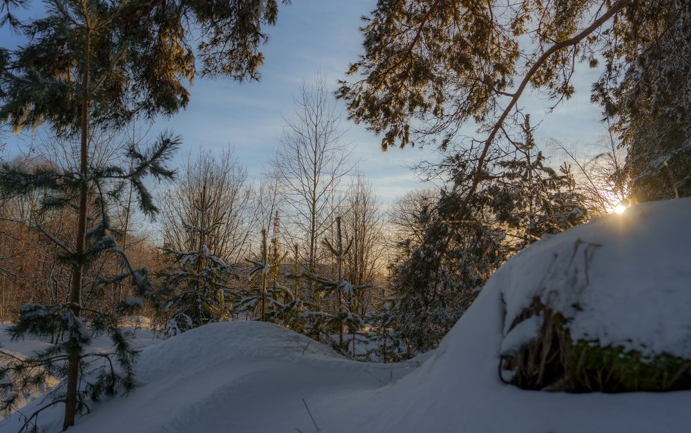Фотография автора Александр Дюльгер