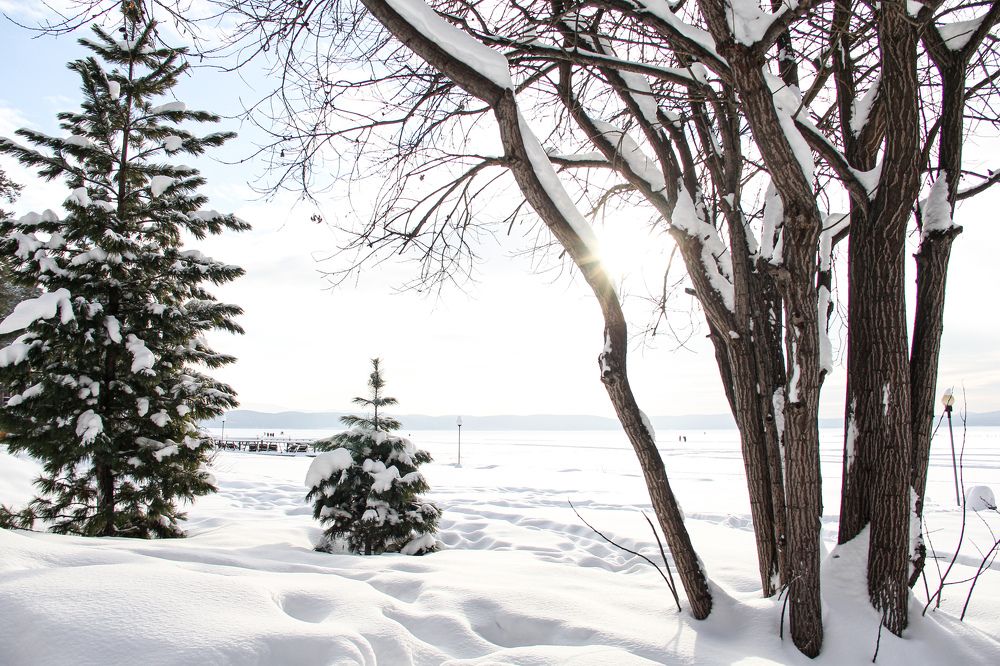 Photograph by Любовь Замятина