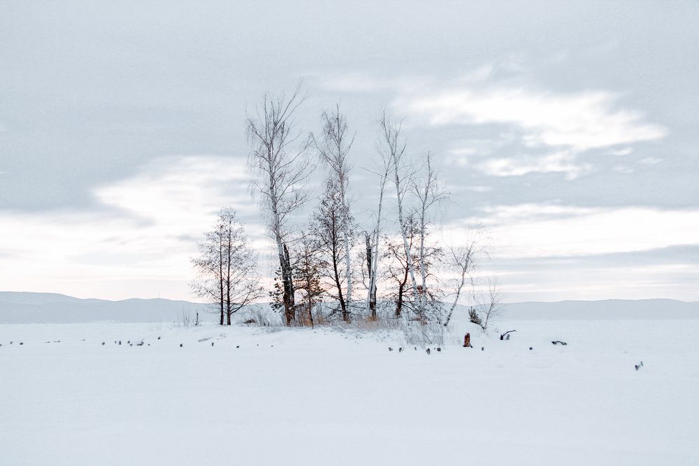 Photograph by Любовь Замятина