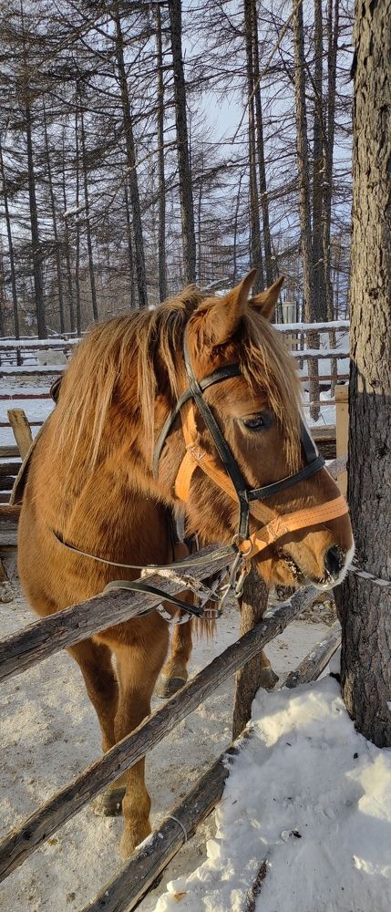 Photo #10090878