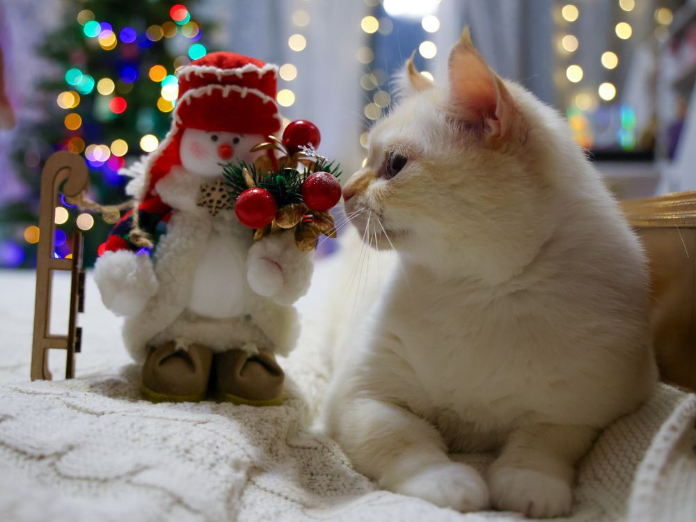 Photograph by Дарья