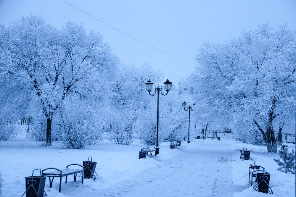 Photograph by Дарья