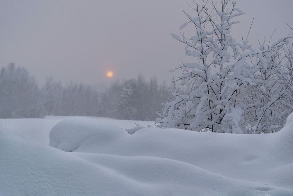 Фотография автора Ольга Егунова