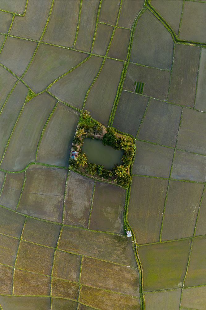 Photograph by Krid Karnsomdee