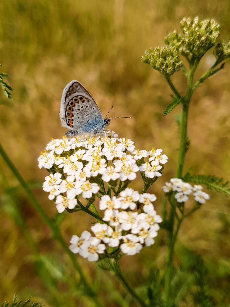 Photograph by Дарья