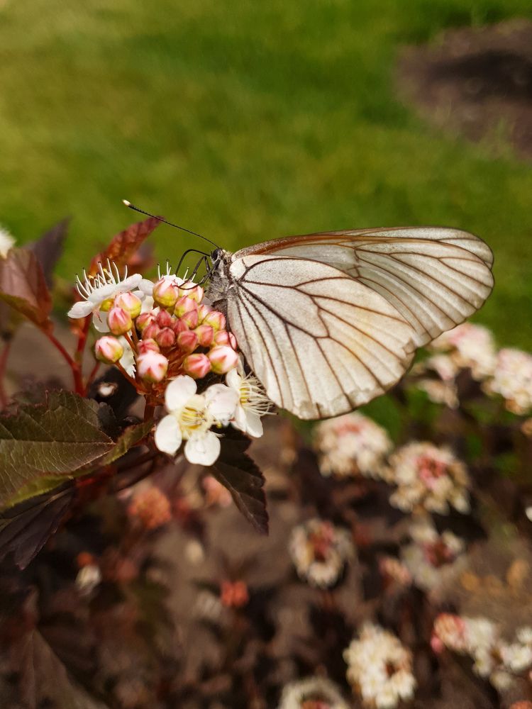 Photograph by Дарья