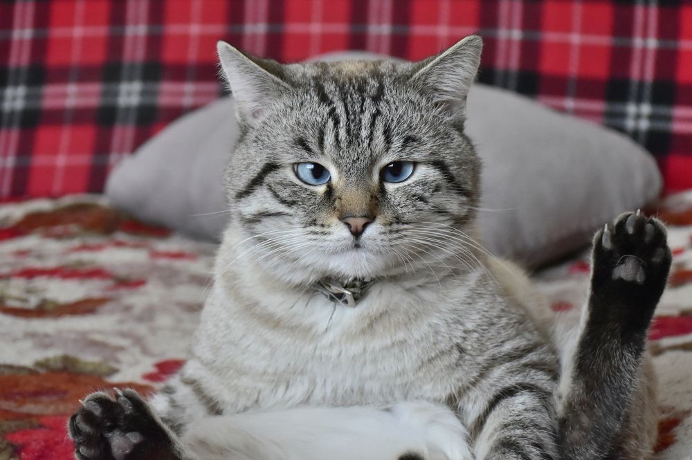 Photograph by Элеонора Безженова